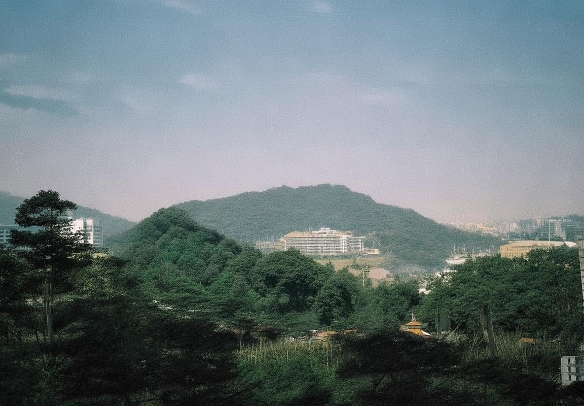 阿独与老虎：南美绿茵激情对决解析(图1)